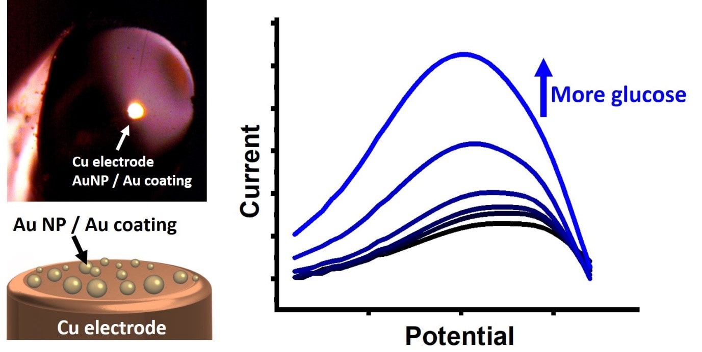 Glucose sensing in industrial processes