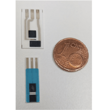 Electrochemical Sensors